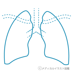 肺シェーマ画像 白紙電子カルテ メディカルイラスト図鑑 無料の医療 美容素材集