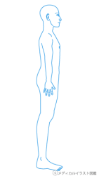 人体全身図側面白紙シェーマカルテ 横 男性 メディカルイラスト図鑑 無料の医療 美容素材集